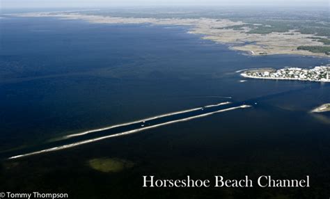 Where’s The Beach?—at Horseshoe Beach! - Visit Natural North Florida