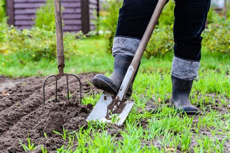 How to dig the soil in your garden and what benefits will it bring?