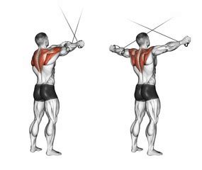 Exercise Database (Shoulders15) - Standing Cable Rear Delt Fly — Jase Stuart - Mens Health Mentor