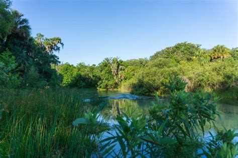 Lithia Springs + Nearby Places to Eat, Stay, & Shop • Authentic Florida