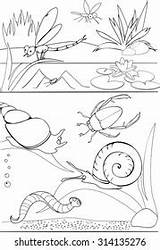 Coloring Pond Stock Illustration 314537573  Shutterstock sketch template
