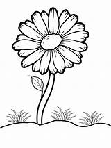 Easy Daisy Flower Coloring Page  Free Printable Pages For Kids sketch template