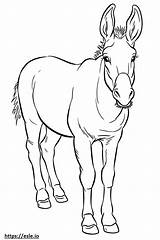 Donkey Cute coloring Page sketch template