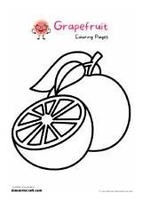 Grapefruit Coloring Pages For Kids – Free Printables  Art & Craft sketch template