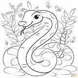 Western Diamondback Rattlesnake Coloring Page Pages sketch template