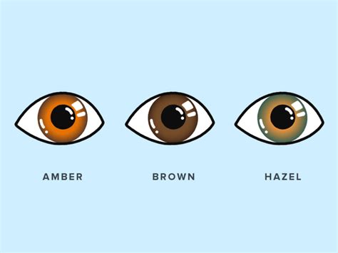 Amber Eyes: How Rare Are They? | Warby Parker