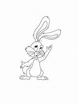 Rabbits coloring pages sketch template