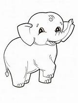 Baby Elephant Coloring Pages sketch template