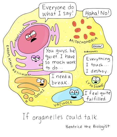 nucleus pick up lines biology - modedtpetulantlapde-porch