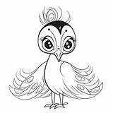 Peacock Drawing Vector Cartoon Coloring Pages Outline Sketch  sketch template