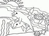 Sea Animals Coloring Pages Fish sketch template