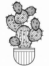 Succulent coloring Pages sketch template