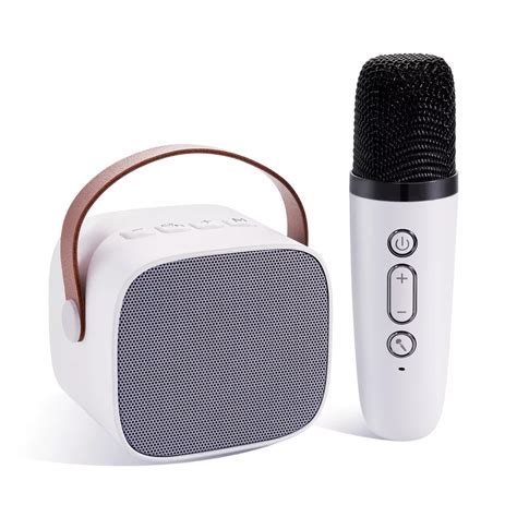 Karaoke Party Starter: Portable Speaker Fun!"