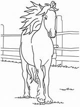 Free Printable Horse Coloring Pages For Kids sketch template