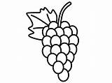 Delicious Fruit Grapes Coloring Pages  Color Luna sketch template