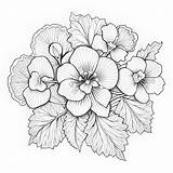 Premium Photo  Floral Coloring Page For Adults With Realistic Detailing sketch template