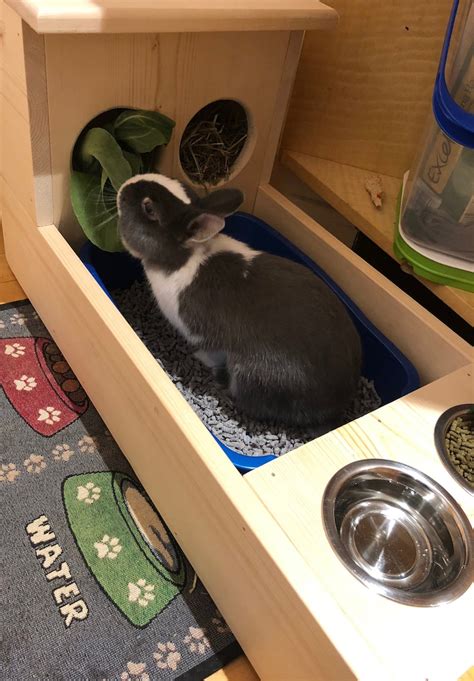 Rabbit Hay Feeder With Litter Box Food and Water Bowls | Etsy