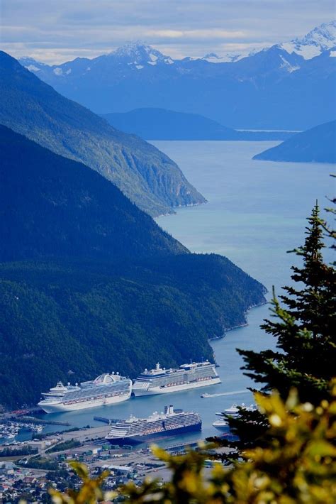 Explore the Last Frontier on Alaska Cruise Vacations - Cruise Panorama | Skagway alaska, Alaska ...