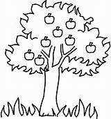 Apple Tree Coloring Pages To Print  Free Printable sketch template