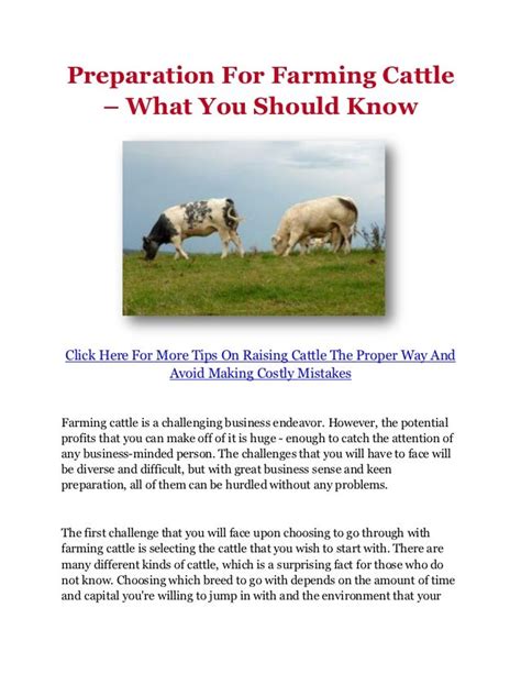 Preparation For Farming Cattle – What You Should Know