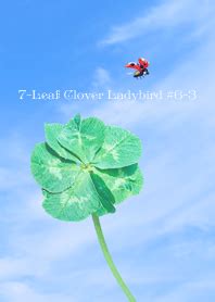 7-Leaf Clover Ladybird #6-3 – LINE主題 | LINE STORE