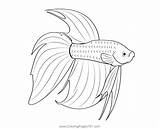 Betta Red Fish Coloring Page For Kids  Free Fishes Printable sketch template