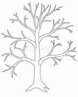 Bare Tree Coloring Page sketch template