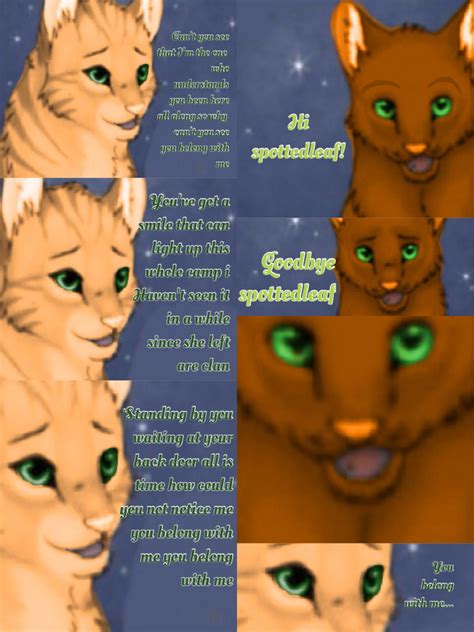 (lyrics from Taylor swifts song "you belong with me") fireheart and Sandstorm Made by ...