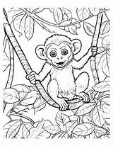 Monkey Timvandevall Procoloring Cliparts Sketch Coloring Page sketch template