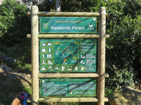 Hiking in Newlands Forest – No Speed Limit