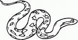 Rattlesnake Coloring Pages Printable sketch template
