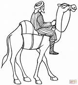 Riding A Camel coloring Page  Free Printable Coloring Pages sketch template
