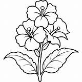 coloring page For Kids Bold Line Art A hollyhock Flower Plant  sketch template