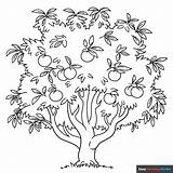 Peach Tree Coloring Page  Easy Drawing Guides sketch template