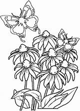 32  Printable Flower Coloring Pages Free Pictures Color Collection sketch template