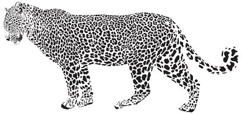 Snow leopard Cheetah Clip art - Jaguar Silhouette PNG Transparent Clip ...