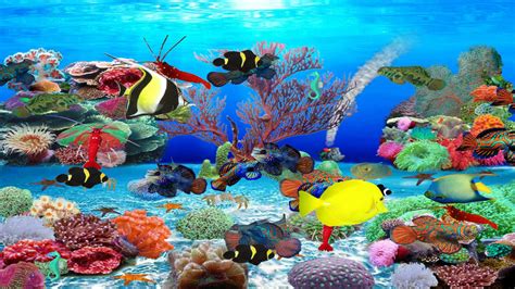 Marine aquarium screensaver free download - liftulsd