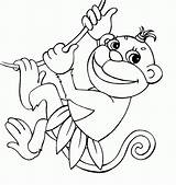 Monkey Hanging Of Liana coloring page  ColouringPages sketch template