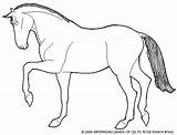 Category Dressage  Coloring Book By JNFerrigno sketch template