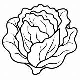 Lettuce vegetable Outline coloring book Page line Art Drawing  Premium sketch template