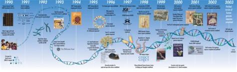 DNA sequence released by Human Genome Project | StressMarq