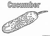 Cucumber Coloring Pages Printable For Free Download sketch template