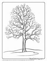 100  Tree coloring Pages Free PDF To Print Woo Coloring sketch template