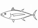 Printable Yellowfin Tuna Coloring Page  Free Pages sketch template