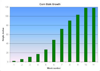 Three Things Very Dull Indeed: Corn growth chart