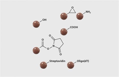 M-PVA Magnetic Beads - Revvity chemagen Technologie GmbH