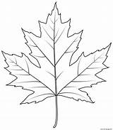 Maple Tree Coloring Pages sketch template