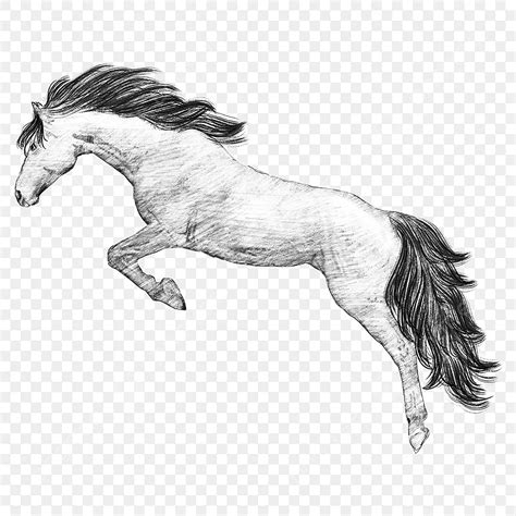 Horse Jumping PNG Picture, Side Horse Jumping Sketch, Black Hair, Jump ...