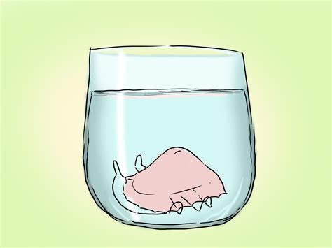 5 Ways to Clean Your Retainer - wikiHow