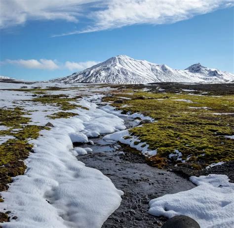 Clima da Tundra: [Características, Flora, Fauna e Adaptabilidade] - Ideias Inteligentes